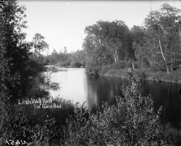 View from shoreline of a small pond along a river, among vegetation. Caption on negative reads: "Little Wolf River The Goose Pond."