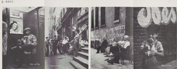 A two-sided four panel folded pamphlet. The photographs are, from left to right: a man sitting with a dog on his lap in a subway car titled: "Man and Dog"; a group of children standing on the sidewalk in front of commercial buildings titled: "Sullivan Midgets"; a group of people sitting in chairs on a sidewalk, and an image of a boy holding a dog in his arms titled: "Boy and Dog."