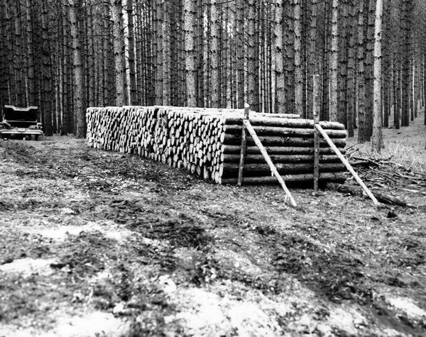 Neat stack of lumber next to forest.