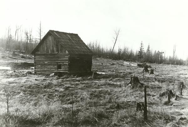 Cutover stump land showing a small wooden building on the lefthand side of the image.