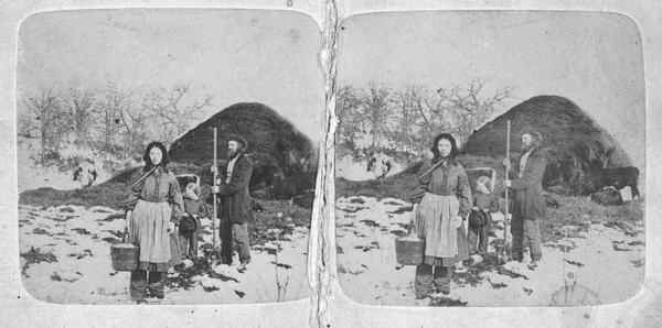 Stereograph of woman, man and child outdoors on a farm with snow on the ground. The woman is wearing bloomers and is holding a bucket in the process of doing chores, the man is holding a pitchfork, and the child is holding a hat. In the background are cows eating near a large pile of hay.