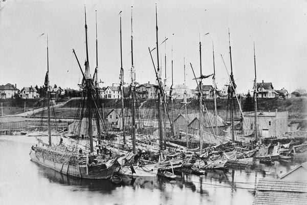 View of a wind bound fleet of lumber schooners, including the Vega and the Ottawa. This image was copied form a photo in the collections of the Milwaukee Public Library.