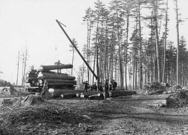 Workers loading pine logs in northern Wisconsin when there was still virgin timber for logging.