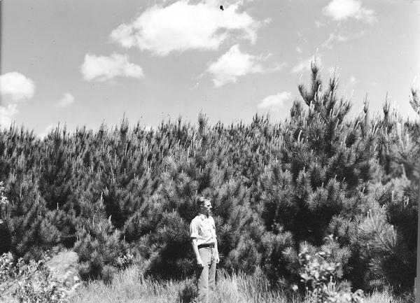 Ranger Jack Zimmerman in 10-year-old Red Pine Plantation near Blackwell in Nicolet National Forest.