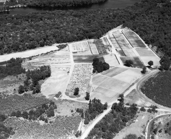 Aerial view of the Nekoosa-Edwards Paper Company nursery.