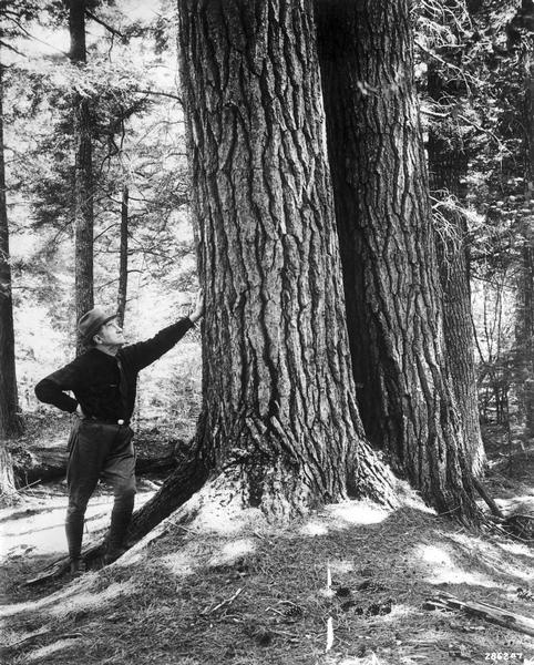 Man in uniform leaning up against the base of a large tree.