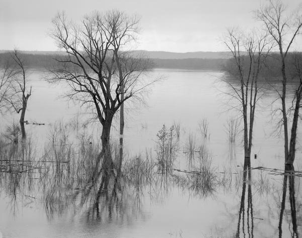 Wisconsin River in flood, looking downstream.