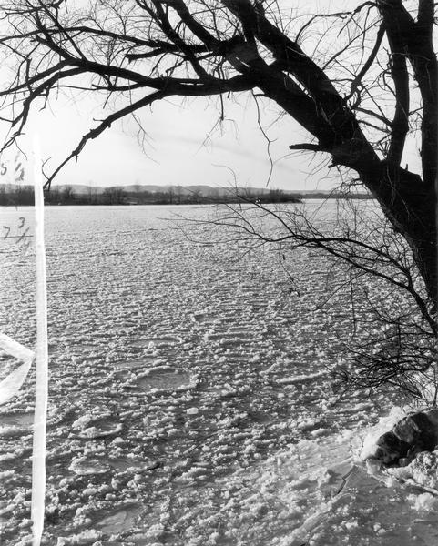 Frazzle ice (snow floating in water) on the Mississippi River near Alma.