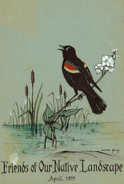 Cover for the Wisconsin Friends of Our Native Landscape program. Depicted is a red wing blackbird perching on cattail flowers in a body of water. The Wisconsin Friends chapter was founded in 1920 by Jens Jensen, world famous landscape architect and nature lover.