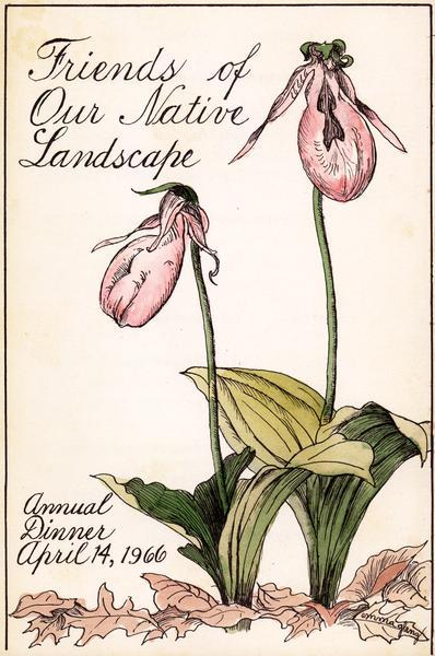Cover for the 1966 Wisconsin Friends of Our Native Landscape program. Depicted are two pink lady slipper orchids. The Wisconsin Friends chapter was founded in 1920 by Jens Jensen, world famous landscape architect and nature lover.