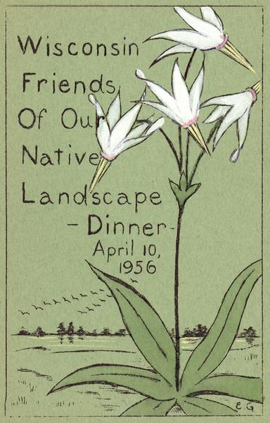 Cover for the 1956 Wisconsin Friends of Our Native Landscape program. Depicted are some white flowers with green leaves, a lake, and some birds flying in the sky. The Wisconsin Friends chapter was founded in 1920 by Jens Jensen, world famous landscape architect and nature lover.