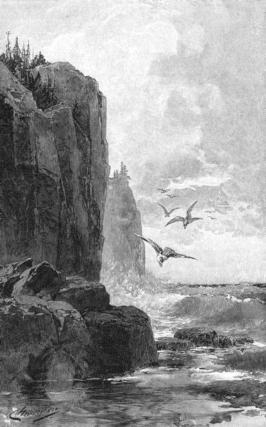 Drawing of the north shore of Lake Superior with cliffs and seagulls.