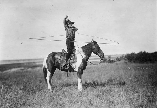 A horse, with a man standing in the stirrups of the saddle while twirling a lariat.