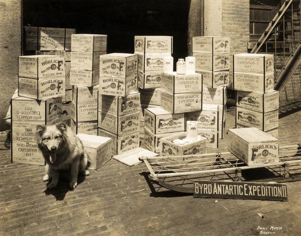 Crates of Horlick's Malted Milk awaiting shipment to New Zealand for Adm. Richard E. Byrd's second Antarctic expedition.  Huskie and dog sled in foreground.    Rear of print includes handwritten lists of Horlick's products taken on Byrd's first and second Antarctic expeditions. An additional caption reads "Byrd Expedition #1 and #2. The City of New York. 1933."