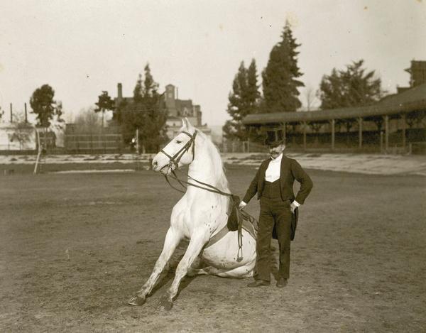 Frank B. Miller with a trained spotted stallion, sitting on its rear legs, whose trainer was with the Norris & Rowe shows. They were photographed at winter quarters at the fairgrounds.