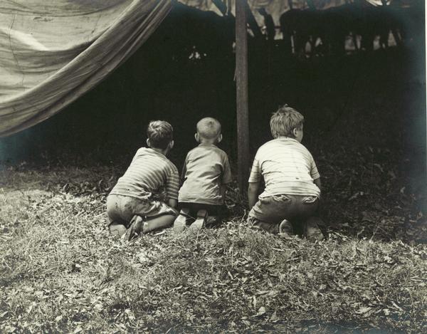 Three young boys, kneeling in the grass, peer into a circus tent at the elephants.