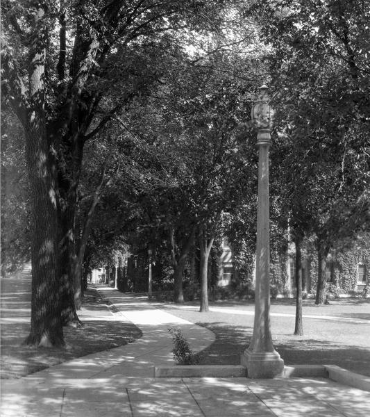 View from the top of Bascom Hill on the University of Wisconsin-Madison campus of the tree-lined path and lampposts. South Hall is on the right.