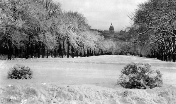 Winter scene of Bascom Hill on the University of Wisconsin-Madison campus with snow-covered trees and bushes. The Wisconsin State Capitol is in the distance.
