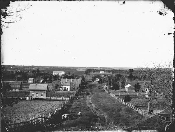 Main Street, with its dirt, ruts, cows (and presumably manure), but wide enough for easy hitching of wagons and teams.