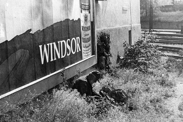 An elderly man is sitting in the grass by a Windsor Canadian Whiskey billboard.