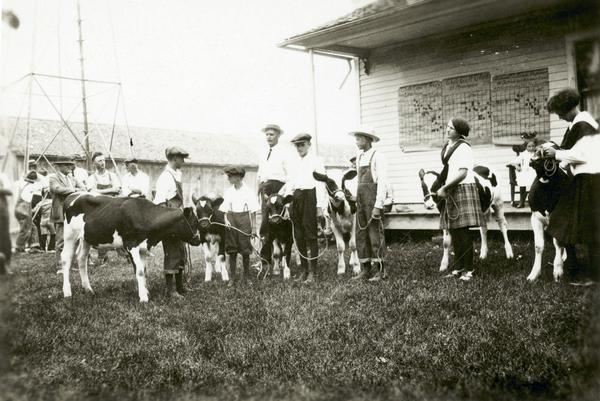 Children with heifers at a county fair in Northern Wisconsin.