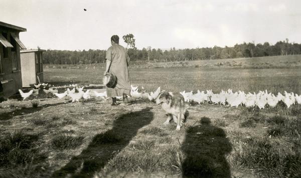 Mrs. John Endres feeding the chickens in the farmyard with her dog.