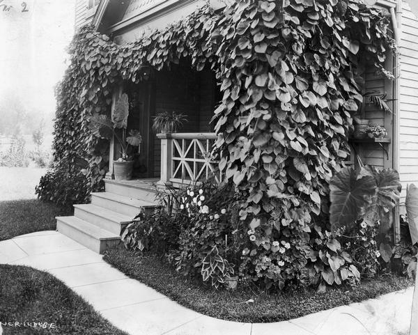 Plant-covered front porch and steps of a house. Original caption reads: "National Cash Register Co., Dayton, Ohio."