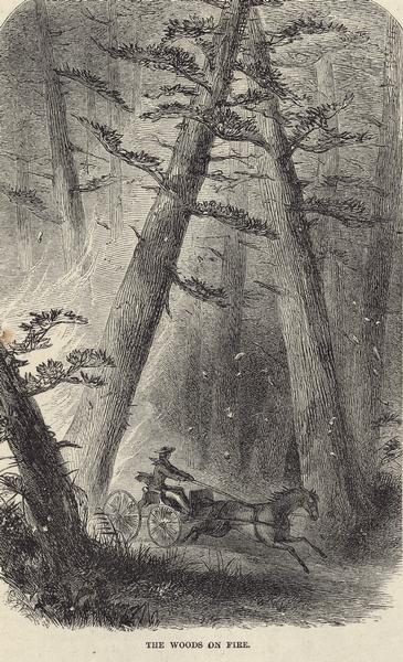 Illustration of a man driving a horse-drawn wagon out of burning woodland.