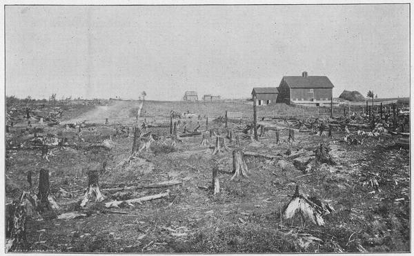 View of the A.G. Beebe farm in Bruce, Wis. with stump land in the foreground. In the background is Mr. Beebe's barn and house.