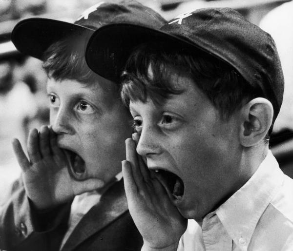 Twin brothers James and Thomas Quinn cheering for the Chicago White Sox at a baseball game.