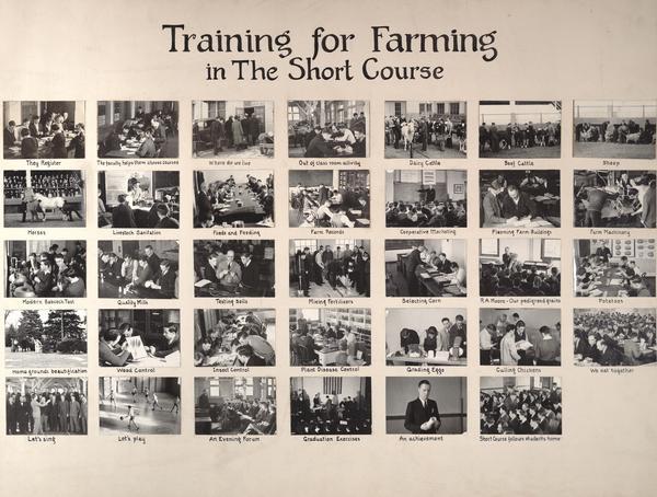 Panel of small photographs depicting different agricultural education scenarios entitled "Training For Farming In The Short Course".