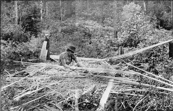 Menominee man cutting bark to make a canoe.