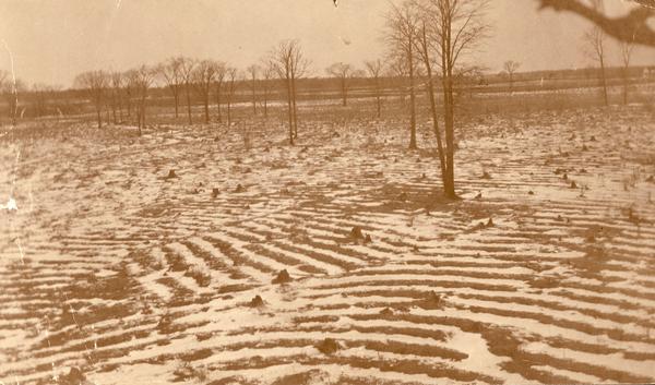 Indian cultivated garden beds, partially covered with snow, "South of West over the big area." Now known as the Eulrich Site, a mile from the shore of Lake Winnebago (in Vinland Township, Winnebago County), it was investigated by archaeologists in the mid-1960's and attributed to the Oneota Culture. This culture flourished ca. 1,150 to 1600 A.D. from eastern Wisconsin to the Missouri River, and is thought to be the immediate predecessor to modern tribes. These fields were presumably cultivated by the ancestors of the Ho-Chunk, who had long occupied the vicinity when Europeans arrived in the 17th century.