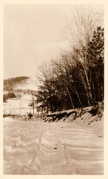 Winter scene with a snow-covered road and trees near Taliesin, the home of Frank Lloyd Wright, with a farmhouse in the distance. Taliesin is located in the vicinity of Spring Green, Wisconsin.