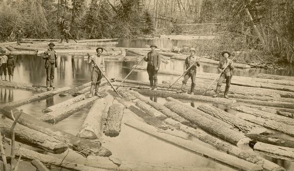 Crew of log drivers stand on logs with poles.
