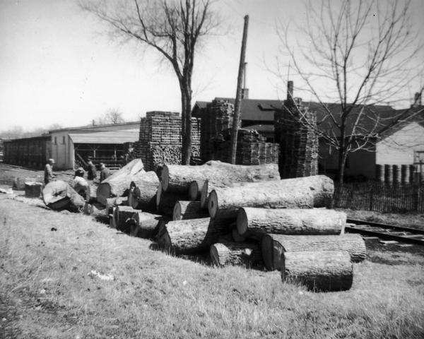 Pile of oak logs used in barrel making at the Hess Cooperage. Also seen are stacks of heads and staves curing in the open air.