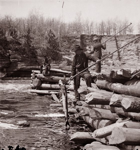 Spearing sturgeon at the dam in Kilbourn. There is a man with a sturgeon on a spear in the foreground, and another man with a spear is in the background. A third man is sitting in the background on the dam.
