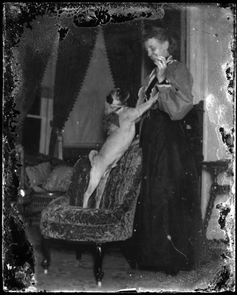 Woman in room holding the front paws of a dog standing on hind legs on chair.