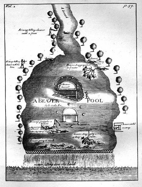 Sketch of a beaver pool lined with trees, including various depictions of Indians hunting beaver.