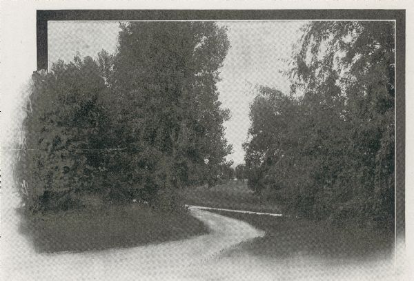 View of Lake Mendota Drive at the foot of Stevens Hill.