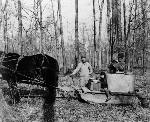 Two men and a child in Granton (vicinity), Clark County, Wisconsin. They are gathering maple syrup with a horse-drawn sled.