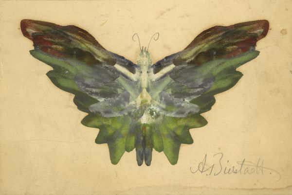 Oil on paper painting of a butterfly. Bierstadt would apply oil paints directly to the paper to form one wing of a butterfly, then fold the paper in Rorschach test-fashion to produce a mirror image and complete the shape.