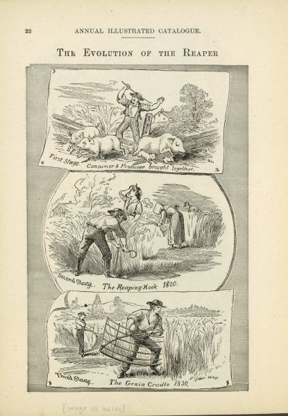 Three illustrations from an 1883 McCormick Harvesting Machine Company catalog portraying the evolution of the reaper. The first drawing is captioned: "First Stage. Consumer & Producer brought together." It shows a man driving away pigs loose in a field through a broken fence. The second drawing is captioned: "Second Stage. The Reaping Hook 1820." It shows men and women working in a field. The third drawing is captioned: "Third Stage. The Grain Cradle 1830." It shows a man using the reaping hook and another man using the grain cradle in a field.