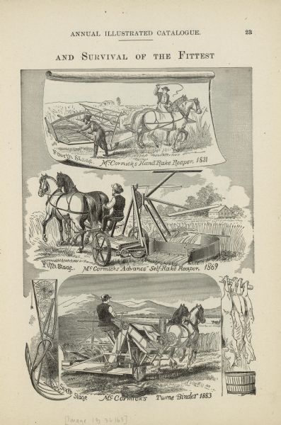 Three illustrations from an 1883 McCormick Harvesting Machine Company catalog portraying the evolution of the reaper. The first drawing is captioned: "Fourth Stage. McCormicks Hand Rake Reaper, 1831." It shows a man riding on one of the two horses pulling the reaper, with another man standing and working at the back of the reaper. The second drawing is captioned: "Fifth Stage. McCormicks Advance Self-Rake Reaper, 1869." It shows a man sitting and driving a two-horse team pulling the reaper. The third drawing is captioned: "Sixth Stage. McCormick's Twine Binder 1883." It shows a man driving a two-horse team pulling the binder. On the left side cobwebs are on a discarded reaping hook and grain cradle. On the right, slaughtered swine are hung up over a barrel.