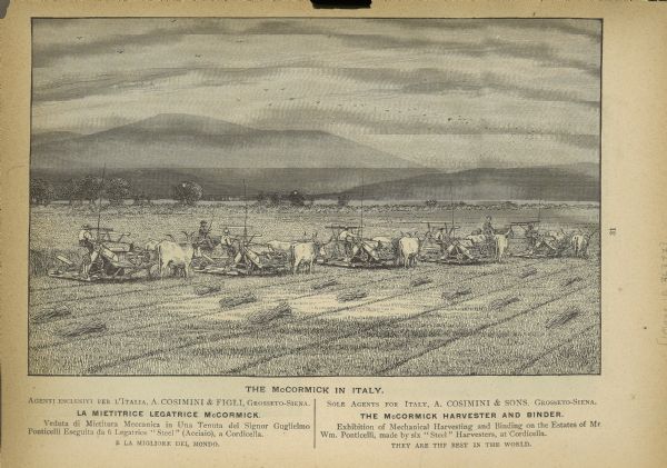 Illustration from an 1887 McCormick Harvesting Machine Company catalog showing McCormick binders being pulled by oxen in a large field in Italy. The caption reads: "The McCormick in Italy." Further text is printed in both Italian and English.