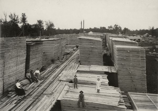 Elevated view of men, women, and a child posing on boards at a lumbering and sawmill operation. The camp was operated by Edward Hahn, who named the community after his small daughter Ruby.