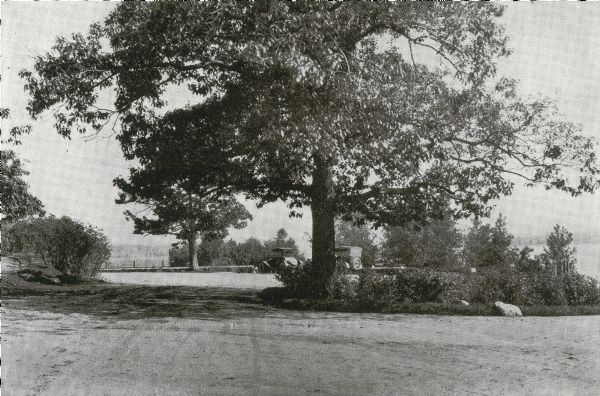View of the automobile parking area at Henry Vilas Park with a large tree in the foreground.