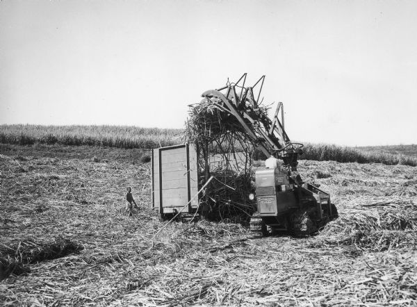 TD-9 International Superior crawler tractor loading South African crop onto a wagon with the attached side loader. A man is driving the tractor, and a child is standing near the wagon on the left.