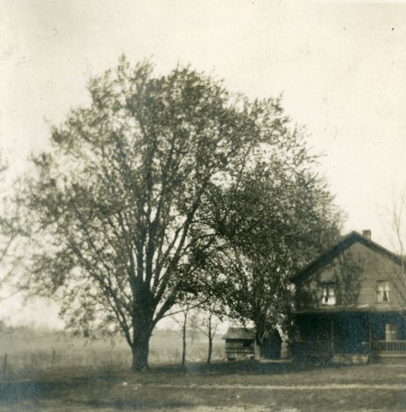 Exterior view of the West Cottage at Hillside Home School with a large tree.