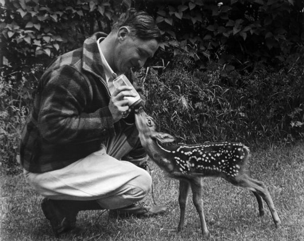 A man in a plaid jacket is feeding a bottle of milk to a fawn.